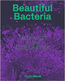 Beautiful bacteria : Encounters in the microuniverse
