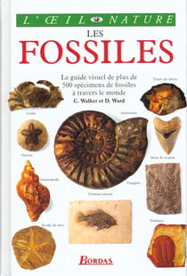 Les fossiles