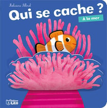 Qui se cache ? - à la mer