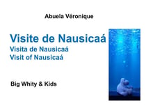 Visite de nausicaá - big whity & kids