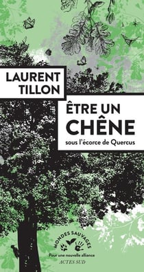Être un chêne - sous l'écorce de Quercus