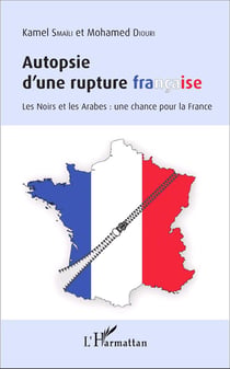 Autopsie d'une rupture française - les Noirs et les Arabes : une chance pour la France
