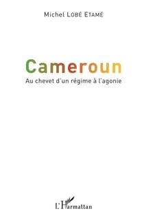 Cameroun, au chevet d'un régime à l'agonie