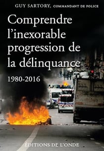 Comprendre l'inexorable progression de la délinquance (1980-2016)