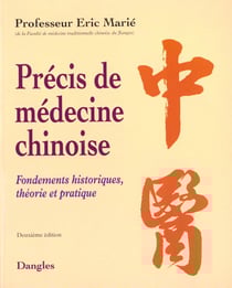 Precis de medecine chinoise : fondements historiques, theorie et pratique