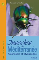 Insectes de Méditerranée