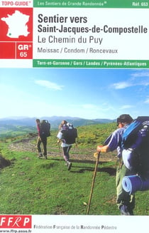 Saint jacques moissac roncevaux-32-40-64-82-espag.-gr65-0653