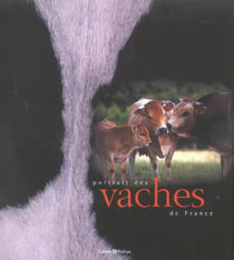 Portrait des vaches de france