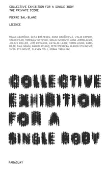 Collective exhibition for a single body - the private score - the licence
