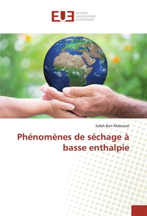Phenomenes de sechage a basse enthalpie