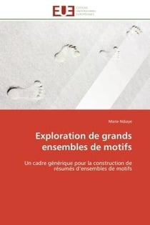 Exploration de grands ensembles de motifs - un cadre générique pour la construction de résumés d'ensembles de motifs
