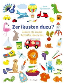 Zer ikusten duzu?