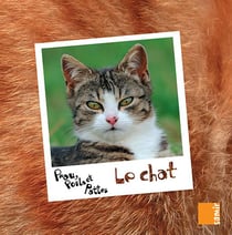 PEAU, POILS ET PATTES : le chat