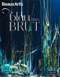 Bleu brut-bilingue fr-ang - experience pommery n 12