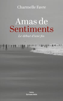 Amas de sentiments