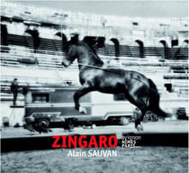 Zingaro - Avignon, Nîmes, Paris...