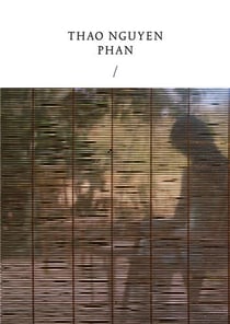 Thao Nguyen Phan : Réincarnations of shadows