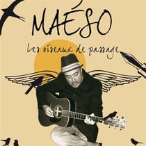 Les oiseaux de passage