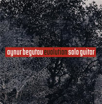 Evolution (solo guitar)
