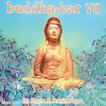 Buddha bar / vol.7