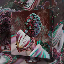 Fossora - édition spéciale