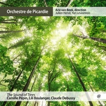 Sound of trees