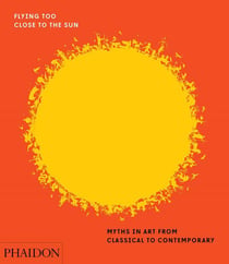 FLYING TOO CLOSE TO THE SUN