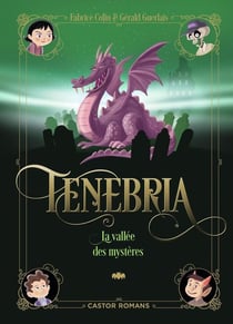 Tenebria Tome 3 : La vallée des mystères