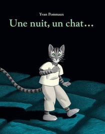 Une nuit, un chat