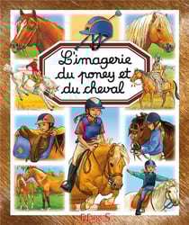 L'imagerie du poney et cheval