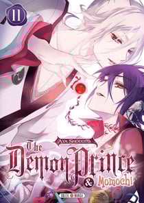 The demon prince & Momochi Tome 11