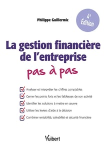 La gestion financière de l'entreprise pas à pas : Comprendre le bilan et le compte de résultat