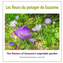 Les fleurs du potager de suzanne
