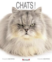 Chats