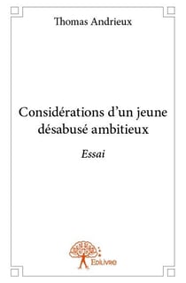 Considérations d'un jeune désabusé ambitieux