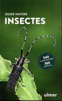 Insectes