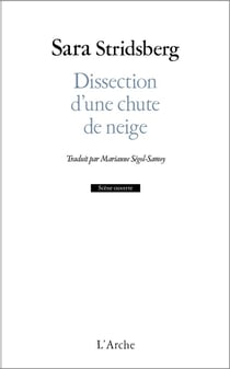 Dissection d'une chute de neige