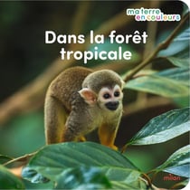 Ma terre en couleurs : Dans la forêt tropicale