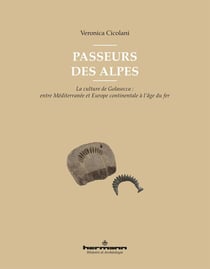 Passeurs des Alpes : La culture de Golasecca : entre Méditerranée et Europe continentale à l'âge du fer