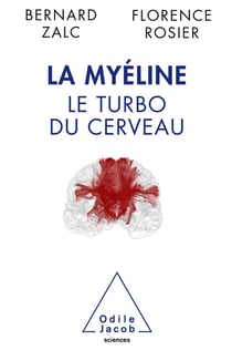 La myéline - le turbo du cerveau