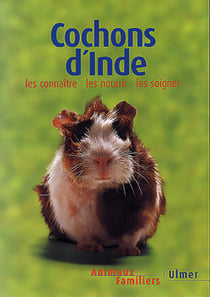 Cochons d'inde