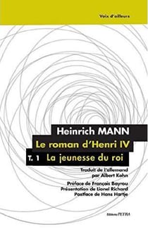 Le roman d'henri iv. la jeunesse du roi