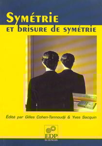 Symetrie Et Brisure De Symetrie. 4Eme Rencontre Physique & Interrogations F
