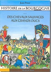 Histoire de la Bourgogne en bandes dessinées t.1 - des chevaux sauvages aux grands ducs