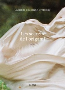 Les secrets de l'origami