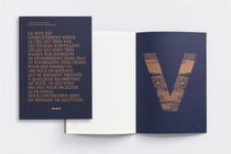 Carnets de vol - carnet à thème