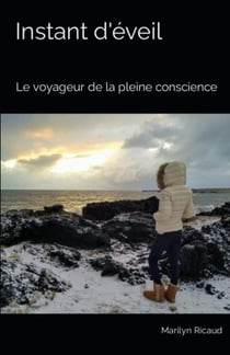 Le voyageur de la pleine conscience - t01 - instant d'eveil - collection : le voyageur de la pleine