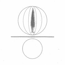 Spheres Collapser