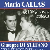 Il mio unico collega