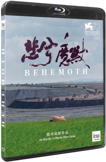 Behemoth
